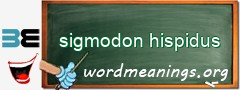 WordMeaning blackboard for sigmodon hispidus